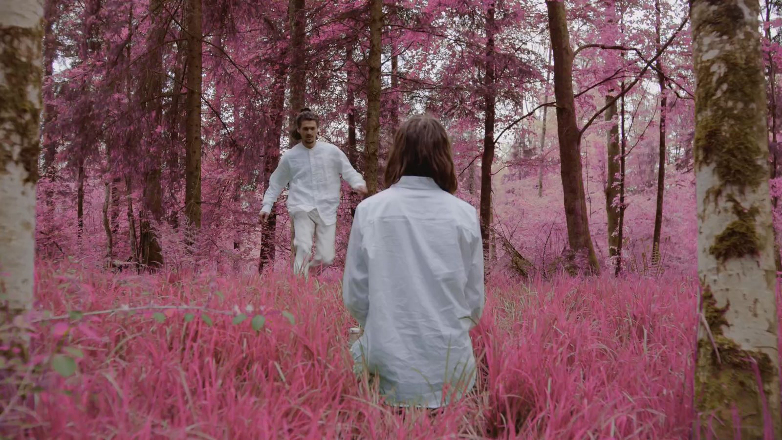 Szene im Infrarot-Wald